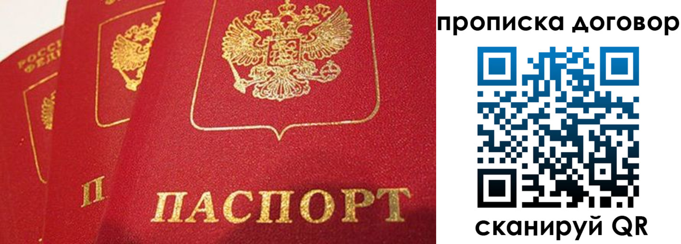 найти адрес прописки в Заинске